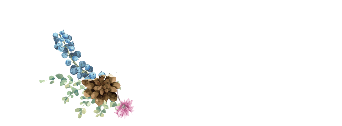 Service menu サービス内容